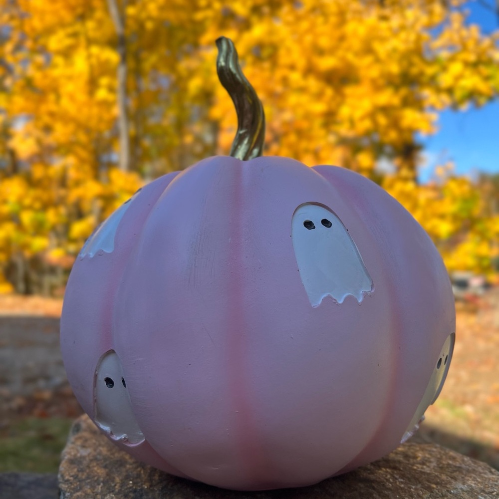 HomeGoods Viral Pink Pumpkin with Ghosts and Gold Stem